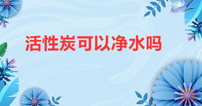 活性炭可以?xún)羲畣幔ɑ钚蕴康膬羲Ч脝?）