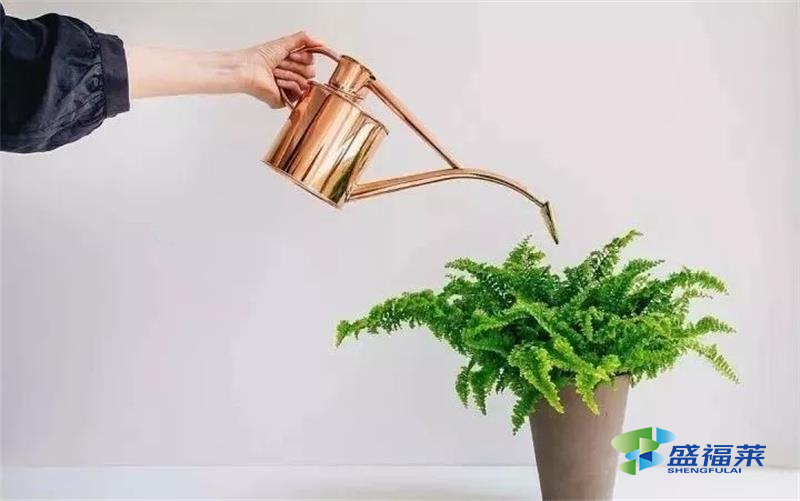 甲醛揮發(fā)周期長(zhǎng)，但速率卻逐漸降低