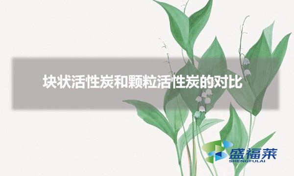 塊狀活性炭和顆?；钚蕴康膶Ρ龋▔K狀和顆?；钚蕴坑心男┎煌? _propertydelete=