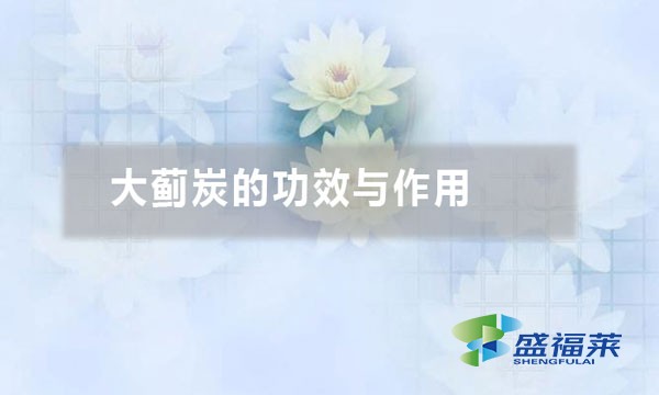 大薊炭的功效與作用(大薊炭的五大應(yīng)用)