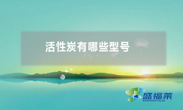 活性炭有哪些型號(活性炭按照形狀分類)