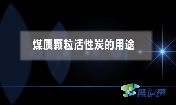 煤質(zhì)顆?；钚蕴康挠猛? width=