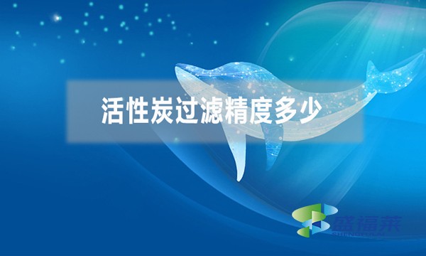 活性炭過濾精度多少，能過濾多大的雜質(zhì)？