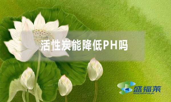活性炭能降低PH嗎？為什么？