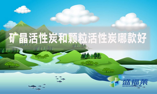 礦晶活性炭和顆?；钚蕴磕目詈?？