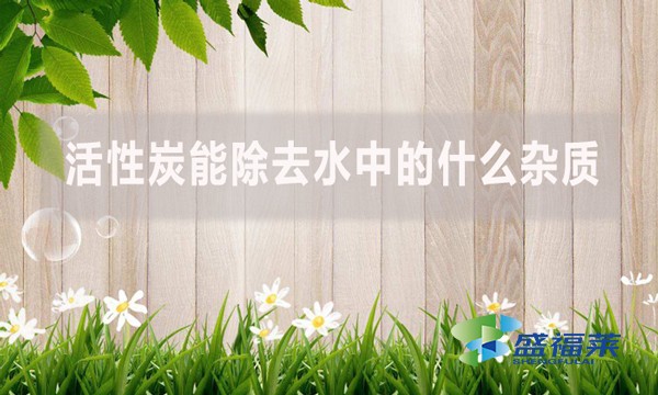 活性炭能除去水中的什么雜質(zhì)？