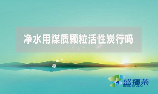 凈水用煤質(zhì)顆?；钚蕴啃袉?？