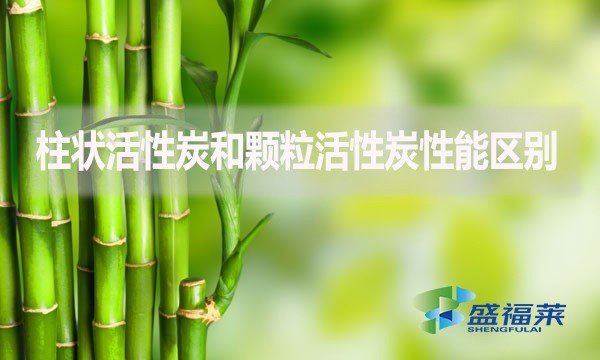 柱狀活性炭和顆?;钚蕴啃阅軈^(qū)別