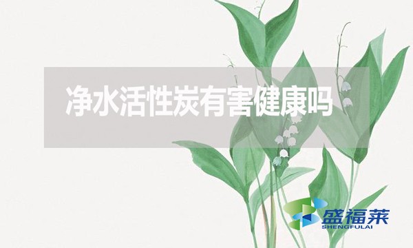 凈水活性炭有害健康嗎？