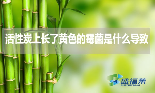 活性炭上長了黃色的霉菌是什么導致的？還能不能使用？